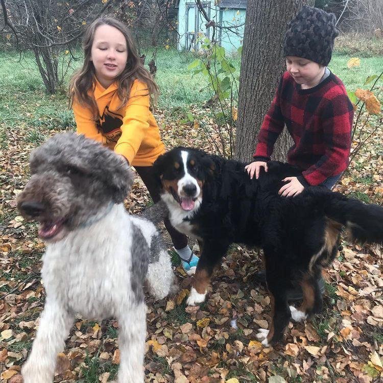 Happy Bernedoodle puppy playing with children and other dogs